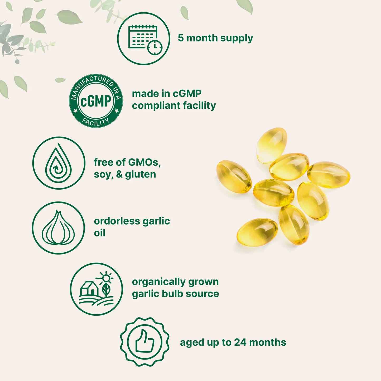 Life Ingredients Odorless Aged Garlic Extract, 300 Softgels